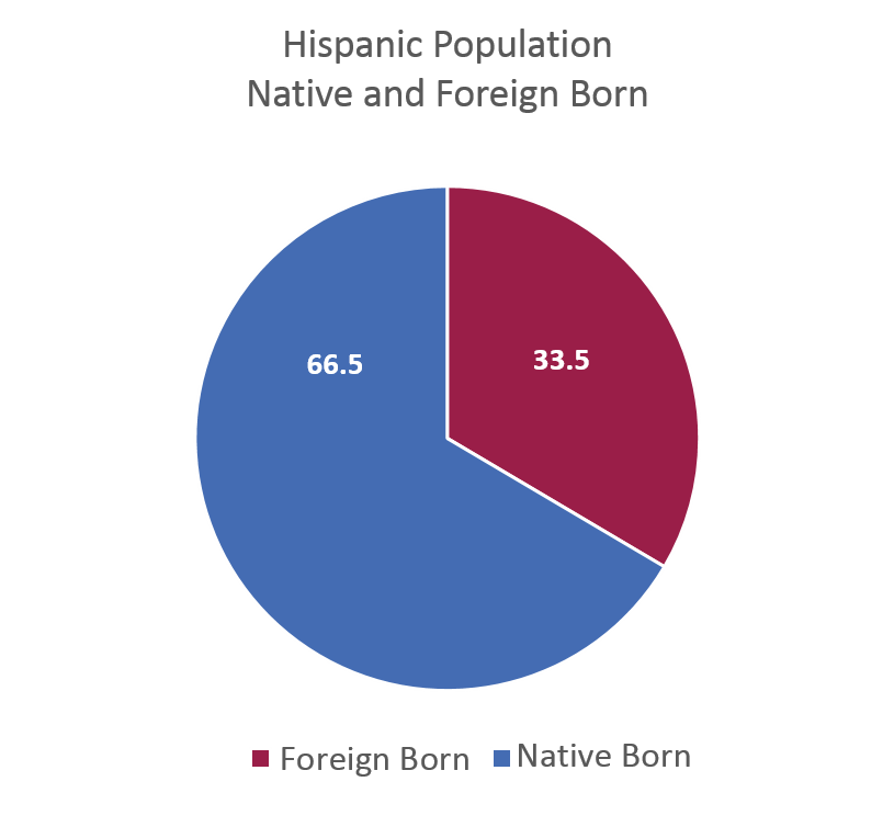 Hispanic population native and foreign born pie chart