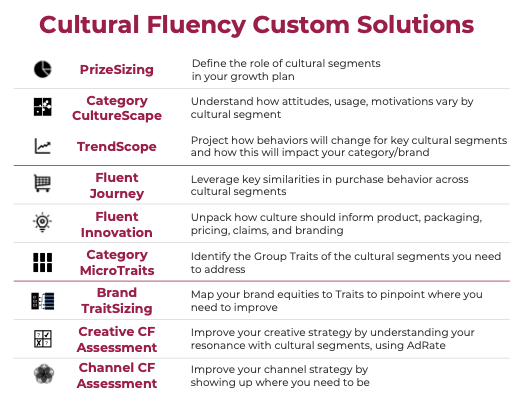 Cultural Fluency Custom Solutions