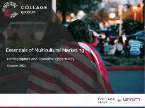 Essentials of Multicultural Consumers presentation title