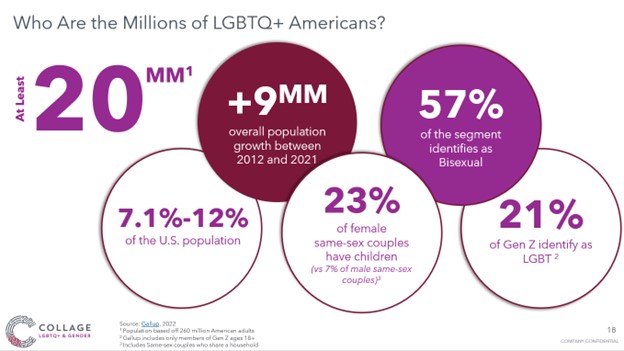 Chart about LGBTQ+ demographics 