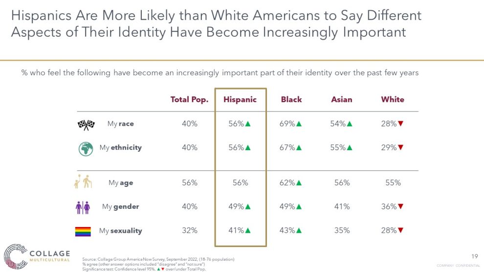 Hispanics are more likely to say aspects of their identity are important