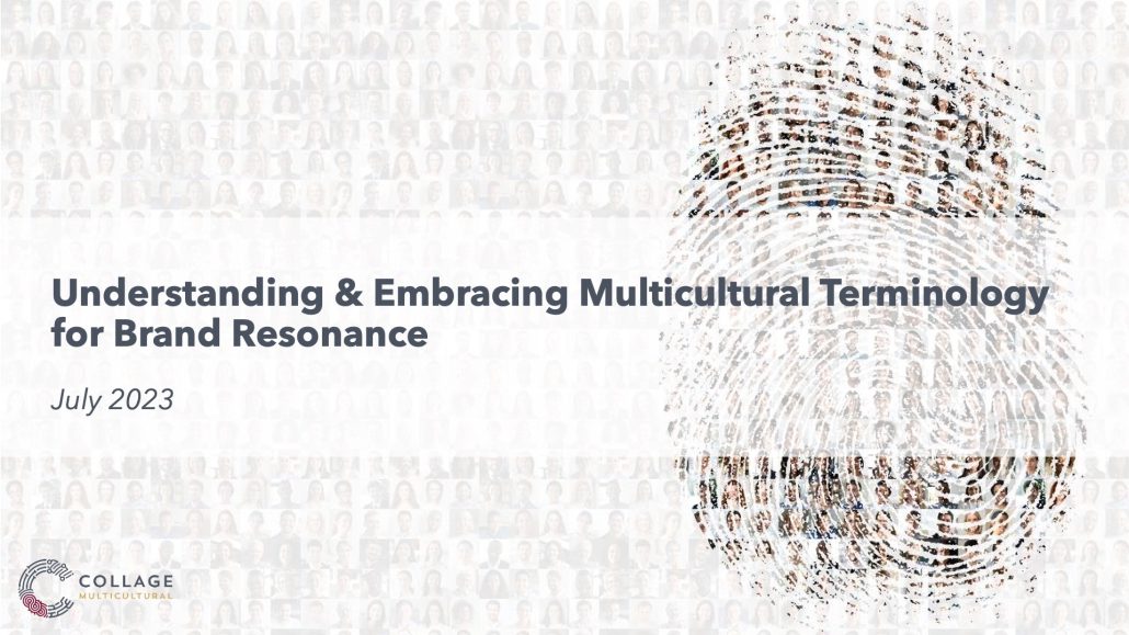 Understanding and Embracing Multicultural Terminology - deck example