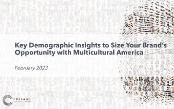 Key Demographic Insights - Slide Deck Example copy