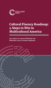 Cultural Fluency Roadmap - Cover Example