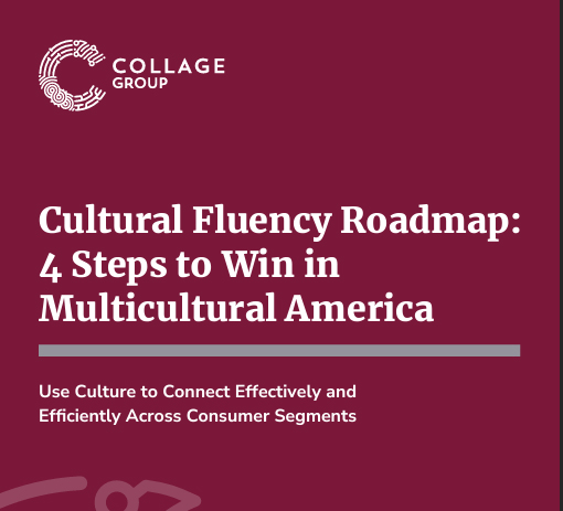 Cultural Fluency Roadmap - Cover Example